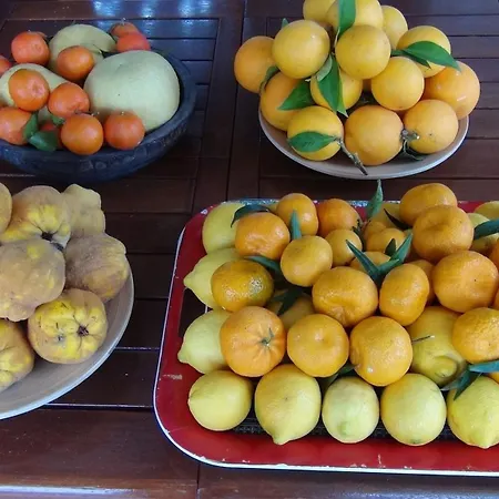 Panorama Sea View וילה