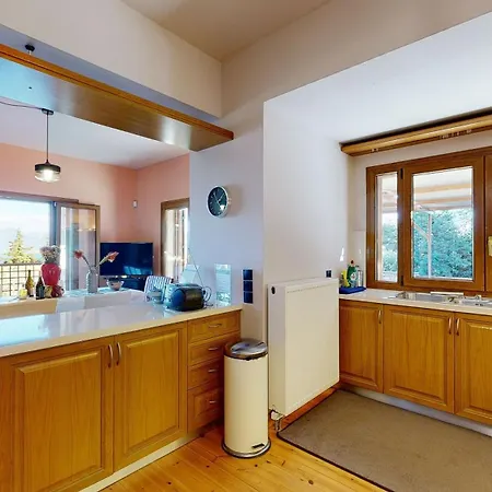 Panorama Sea View וילה *