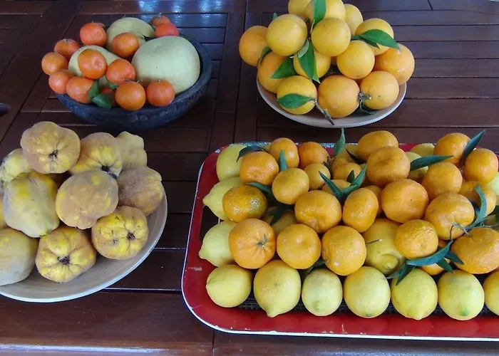 Panorama Sea View 빌라